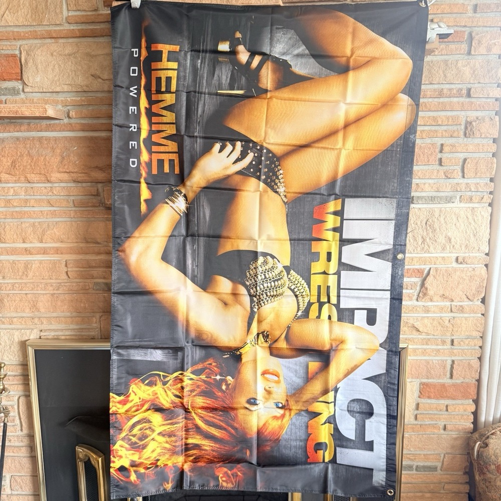Christy Hemme Hemme Powered TNA Impact Wrestling V-Series Cloth Banner 36x58"